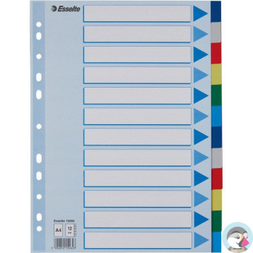 Przekładki plastikowe z PP A4 12 kart 15262 ESSELTE