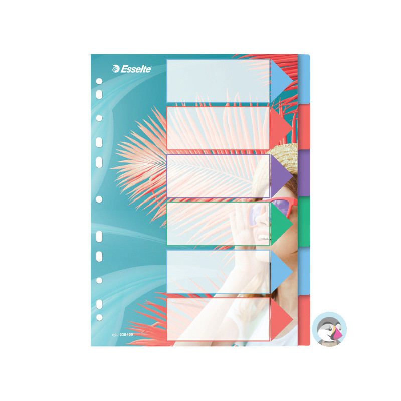 Przekładki Colour`Breeze PP A4 6 przekładek 628499 ESSELTE