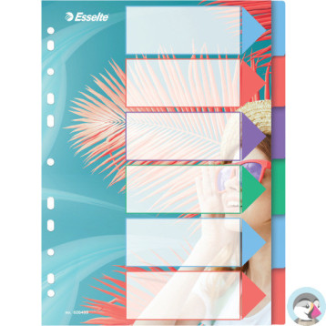 Przekładki Colour`Breeze PP A4 6 przekładek 628499 ESSELTE