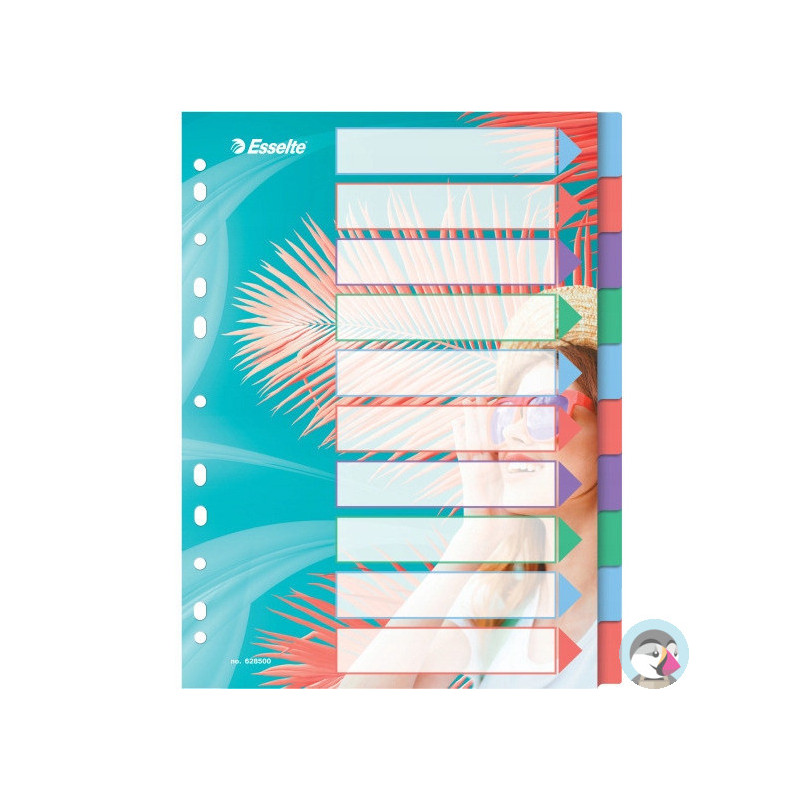 Przekładki Colour`Breeze PP A4 10 przekładek 628500 ESSELTE