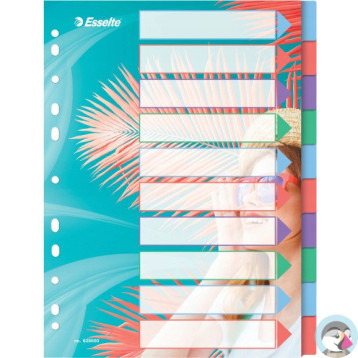 Przekładki Colour`Breeze PP A4 10 przekładek 628500 ESSELTE