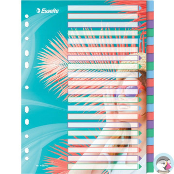 Przekładki Colour`Breeze PP A4 20 przekładek 628502 ESSELTE