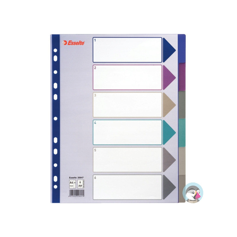 Przekładka PP A4 MULTICOLOR 6 kart 20647 MAXI ESSELTE