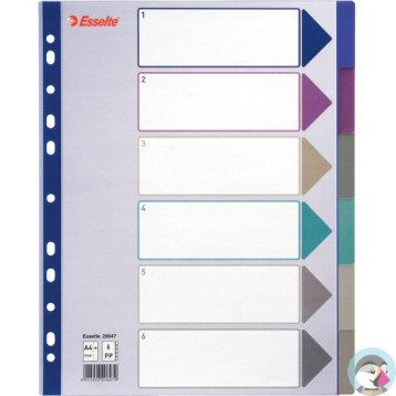Przekładka PP A4 MULTICOLOR 6 kart 20647 MAXI ESSELTE