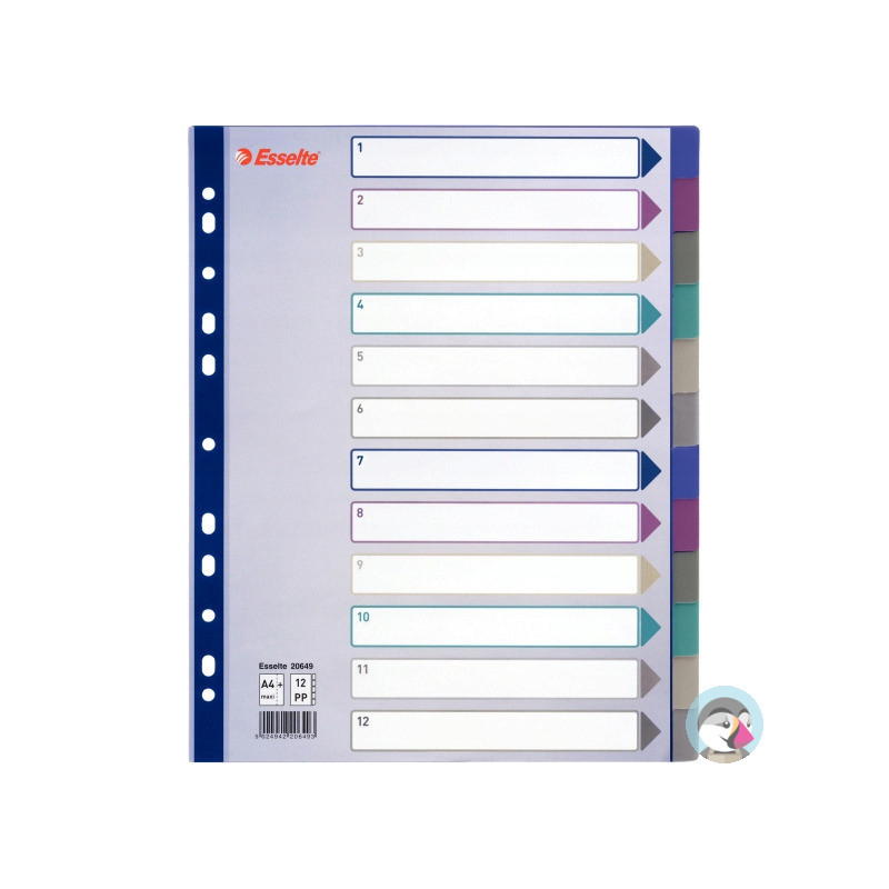 Przekładka PP A4 MULTICOLOR 12kart 20649 MAXI ESSELTE