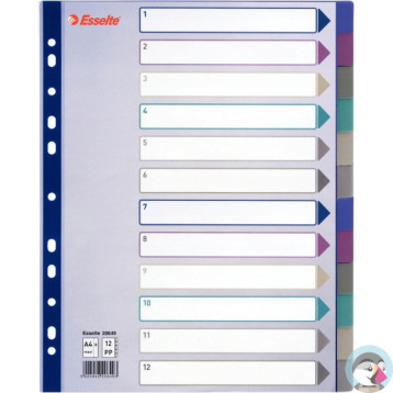 Przekładka PP A4 MULTICOLOR 12kart 20649 MAXI ESSELTE