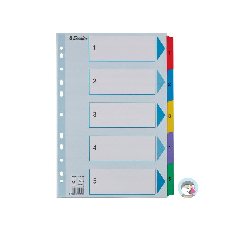 Przekładki kartonowe MYLAR A4 1-5 białe 100160 ESSELTE