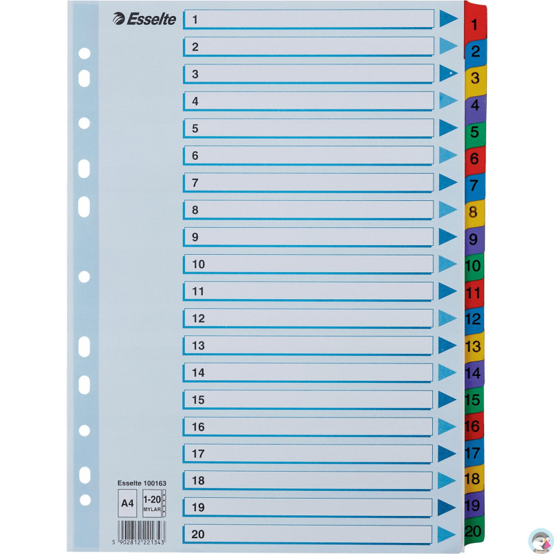 Przekładki kartonowe MYLAR A4 1-20 białe 100163 ESSELTE