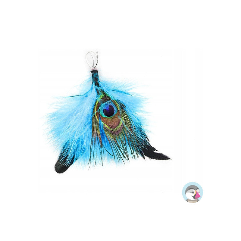Piórka pawie oczko 14-16cm (3szt.) GR-FE018 FIORELLO 170-2622