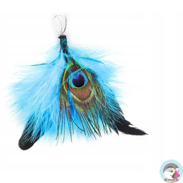 Piórka pawie oczko 14-16cm (3szt.) GR-FE018 FIORELLO 170-2622