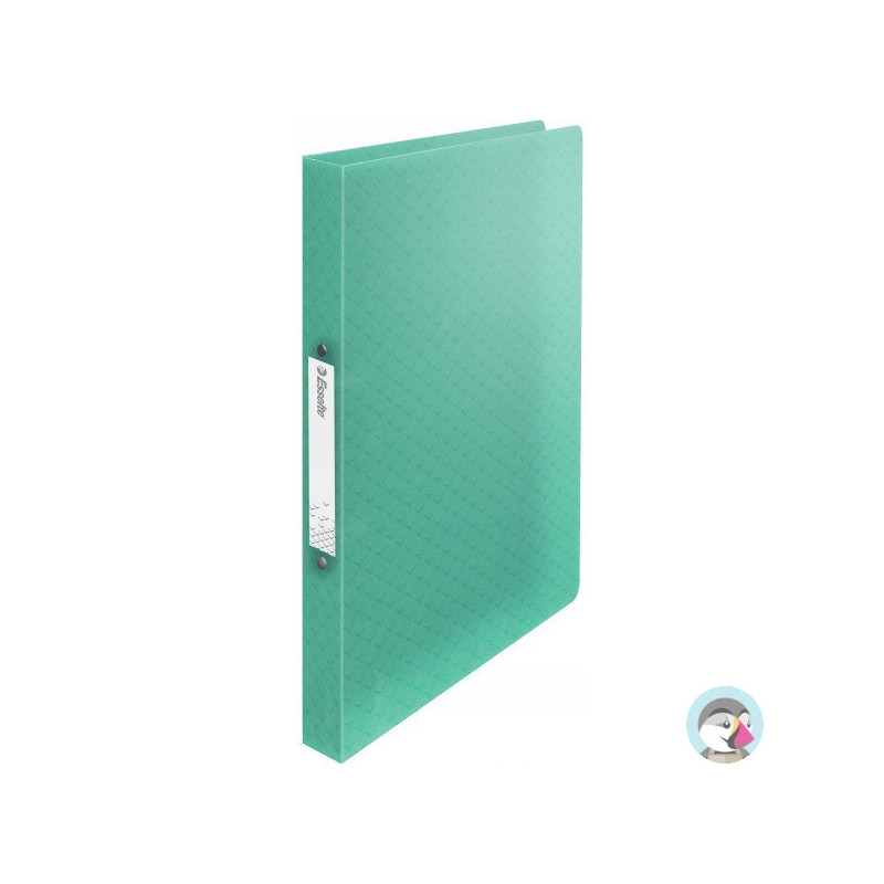 Segregator ringowy Esselte Colour`Breeze 2 RR 25 mm zielony 626243