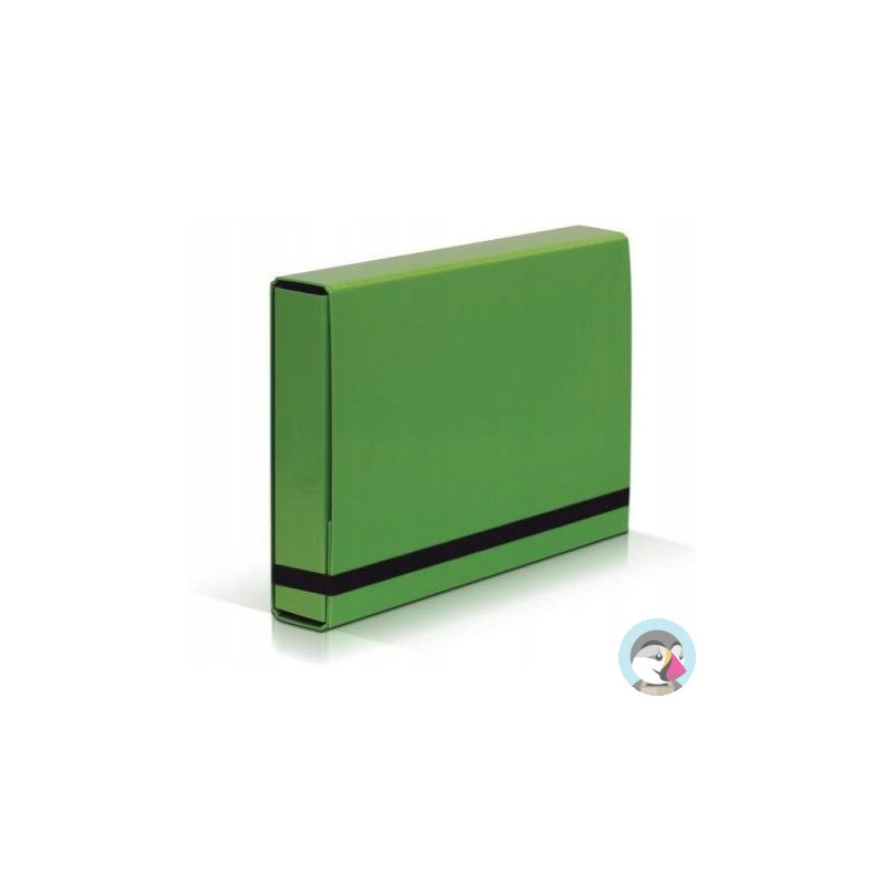 Teczka z gumką BOX CARIBIC jasno zielona 341/15 VAUPE