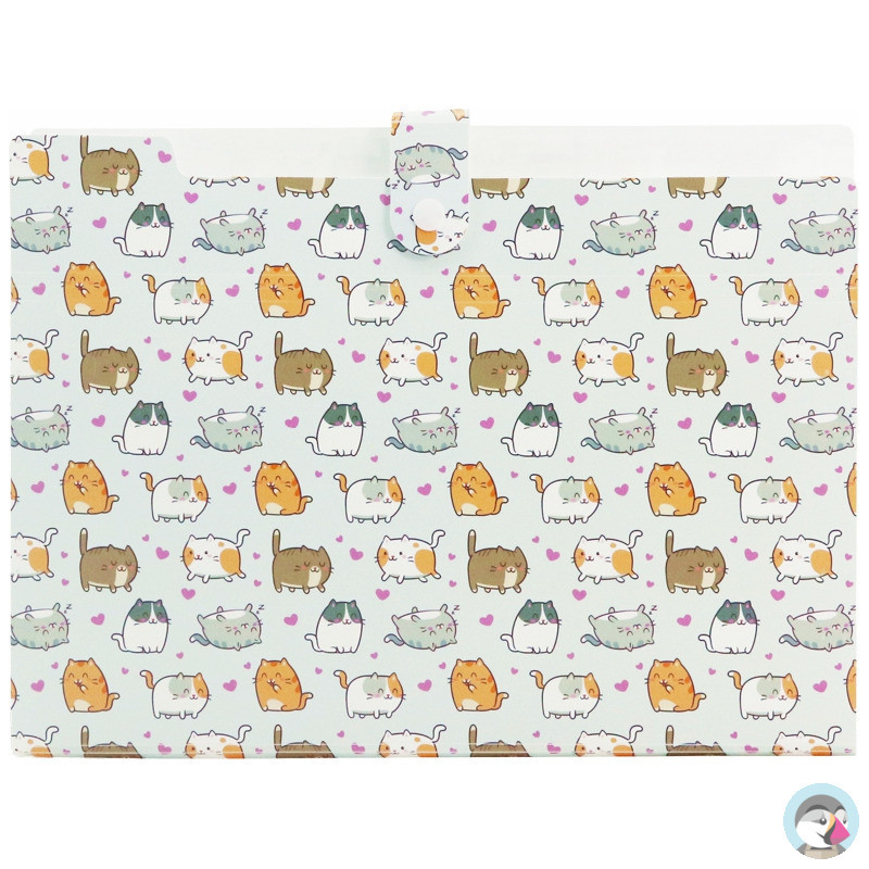 Teczka harmonijkowa A4 PP 5 przegródek z nadrukiem KITTENS THN-A4-35 BIURFOL