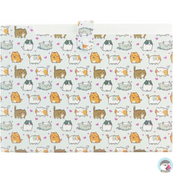 Teczka harmonijkowa A4 PP 5 przegródek z nadrukiem KITTENS THN-A4-35 BIURFOL