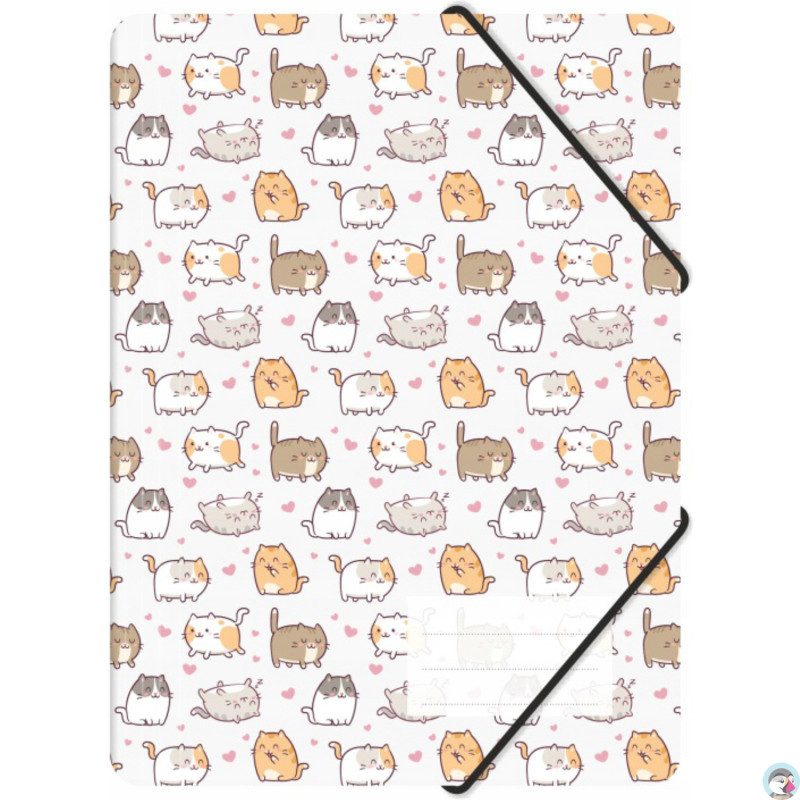 Teczka z gumką A4 PP z nadrukiem KITTENS TGN-A4-35 BIURFOL