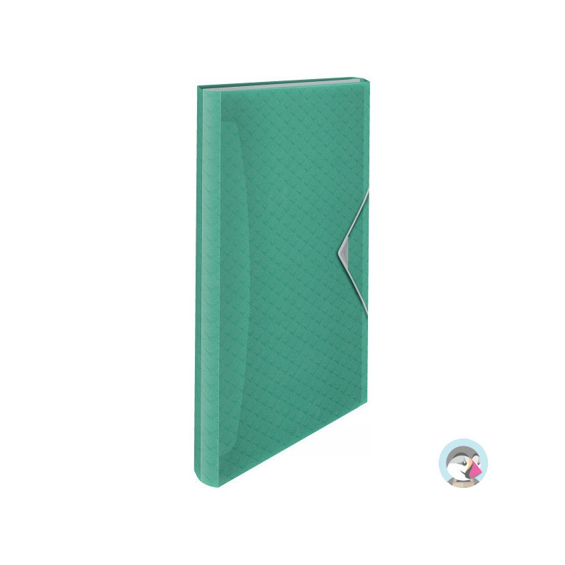 Teczka z przegródkami zielona ESSELTE COLOURICE 626253