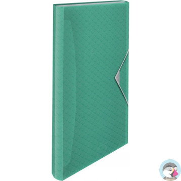Teczka z przegródkami zielona ESSELTE COLOURICE 626253