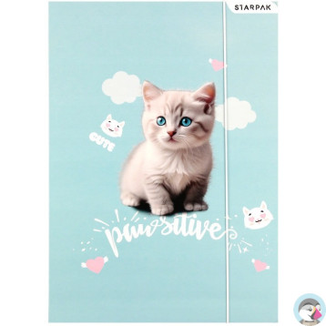 Teczka z gumką A4 KITTY 553545 STARPAK