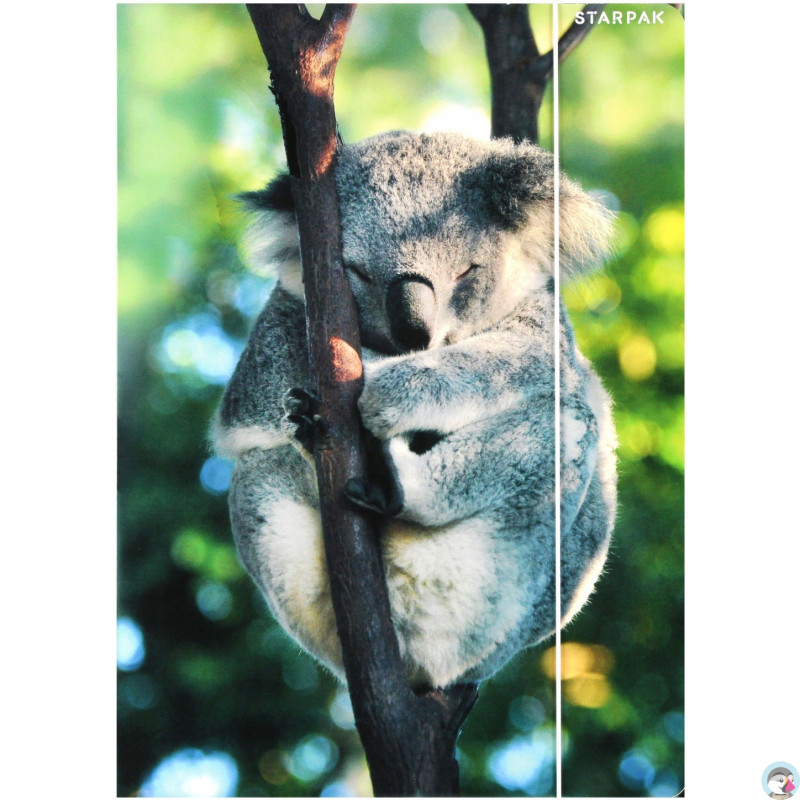 Teczka z gumką A4 WILD ANIMAL KOALA 559730 STARPAK