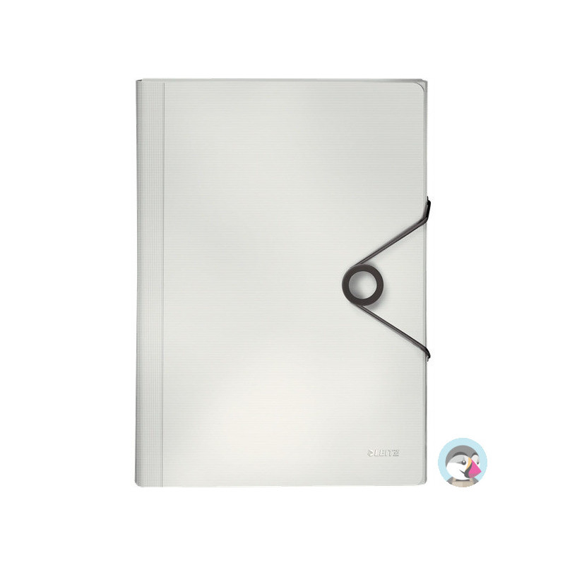 Teczka z przegródkami PP LEITZ SOLID biała 45791001