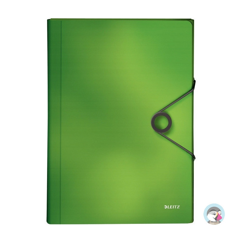 Teczka z przegródkami PP LEITZ SOLID jasnozielona 45791050