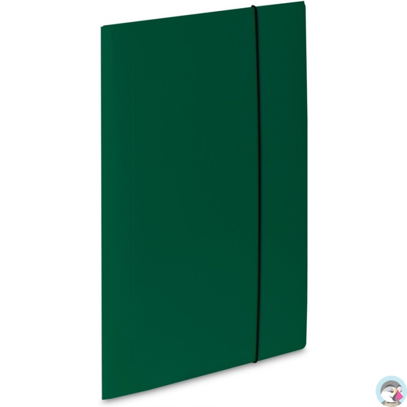 Teczka z gumką 1 zielona 450g. 302/06 VAUPE