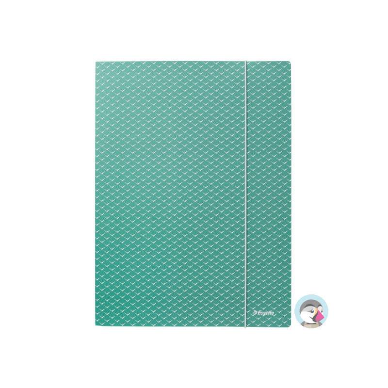 Teczka kartonowa z gumką Colour`Breeze A4 zielona 628493 ESSELTE