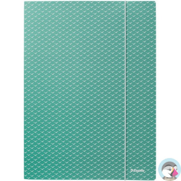 Teczka kartonowa z gumką Colour`Breeze A4 zielona 628493 ESSELTE