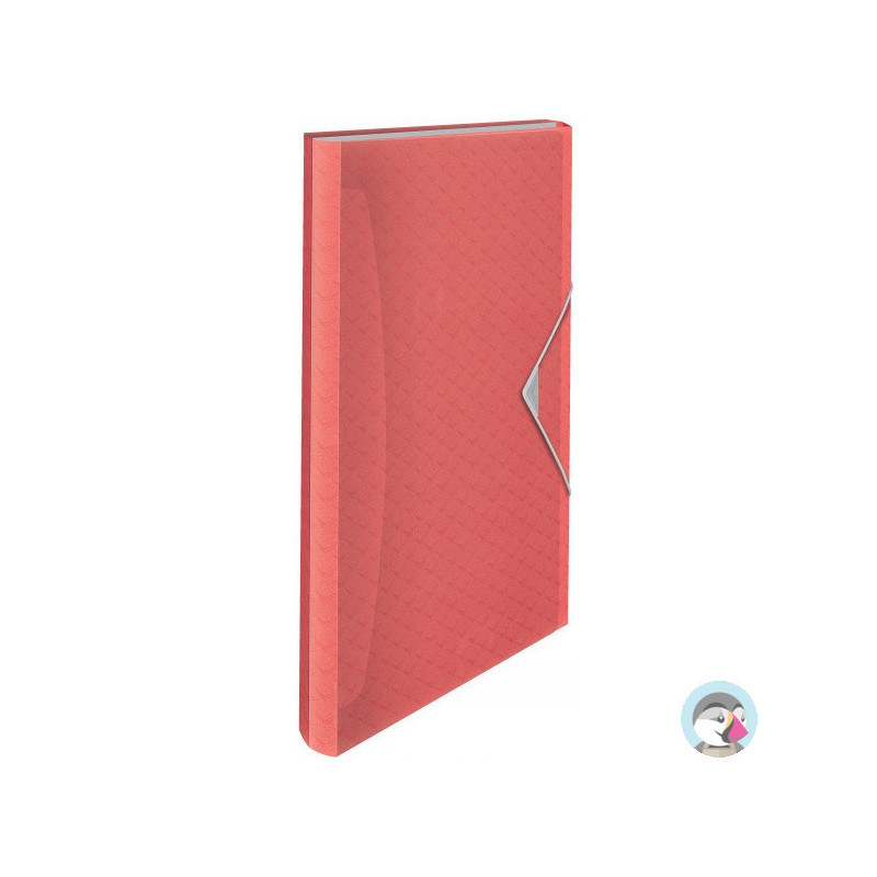 Teczka z przegródkami Esselte Colour`Breeze 6 przegródek koralowy 628447