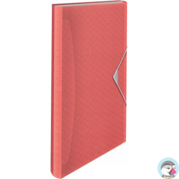Teczka z przegródkami Esselte Colour`Breeze 6 przegródek koralowy 628447