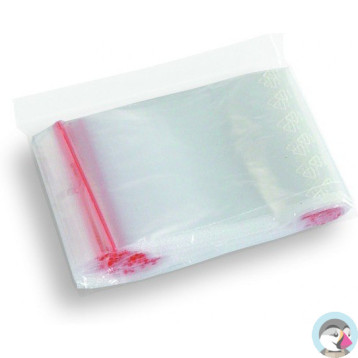 Torebki strunowe 310x430mm (100szt)