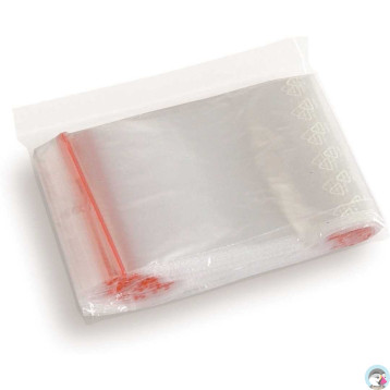 Torebki strunowe 200x250mm (100szt) WS200