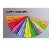 Papier ksero A4 210g TROPHEE słoneczny 2210 250ark