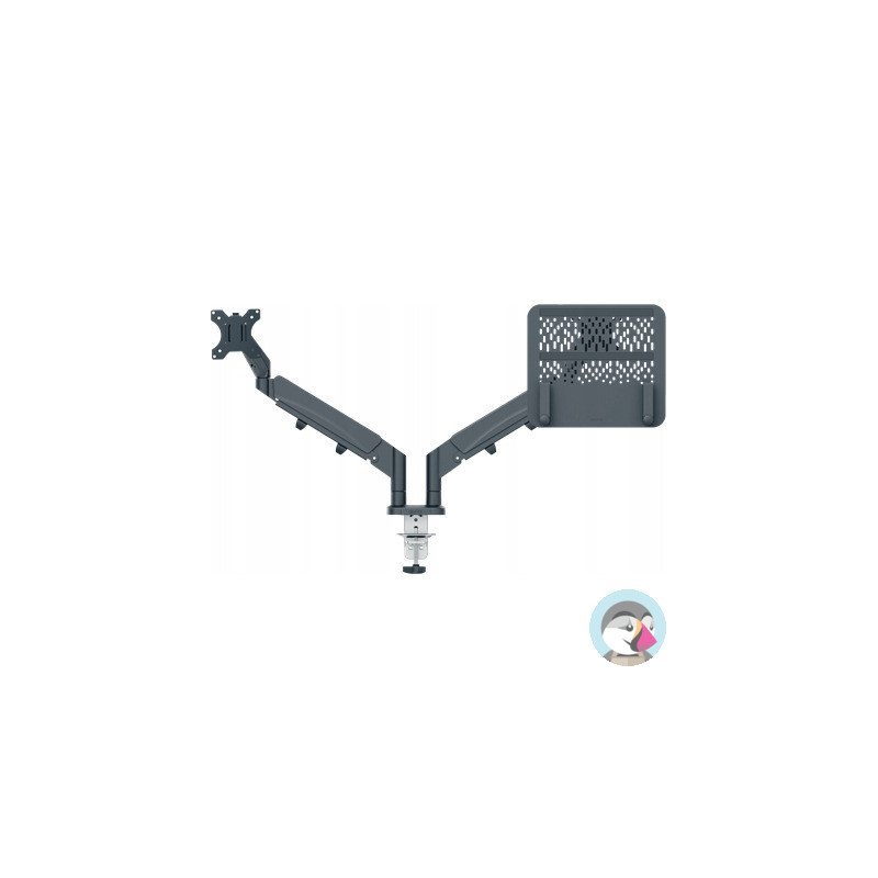 Ramię do monitora i laptopa podwójne Ergo ciemnoszare 65380089 LEITZ