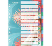 Przekładki Colour`Breeze PP A4 12 przekładek 628501 ESSELTE