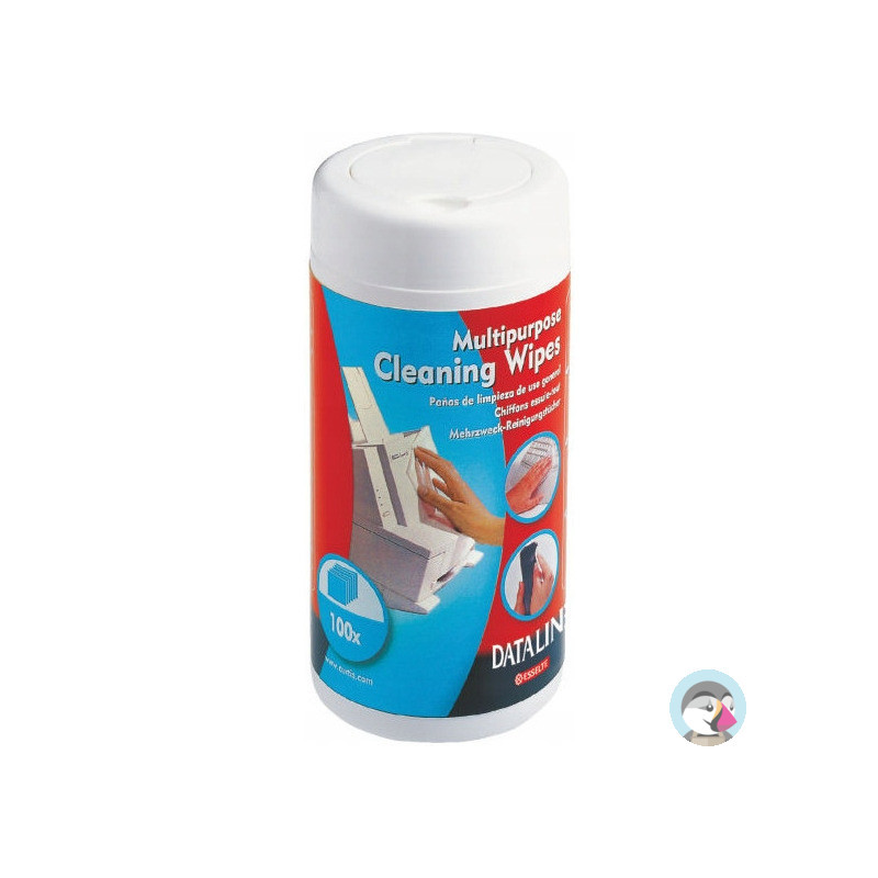Chusteczki wilgotne do plastiku ESSELTE DATALINE (100szt) 67656