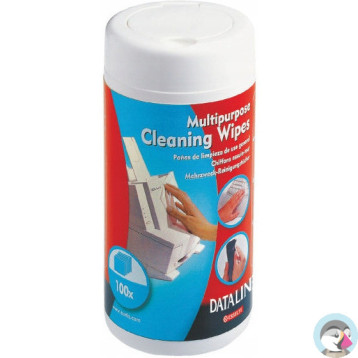 Chusteczki wilgotne do plastiku ESSELTE DATALINE (100szt) 67656