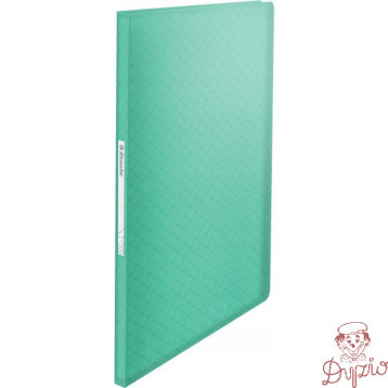 Album ofertowy na dokumenty A4 40 kieszeni Colour`Breeze zielony 626228 ESSELTE