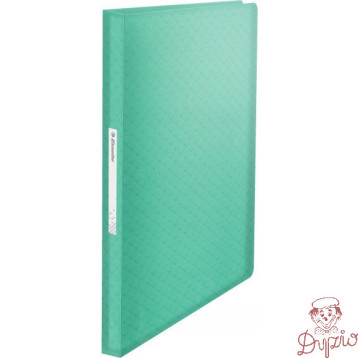 Album ofertowy na dokumenty A4 80 kieszeni Colour`Breeze zielony 626238 ESSELTE
