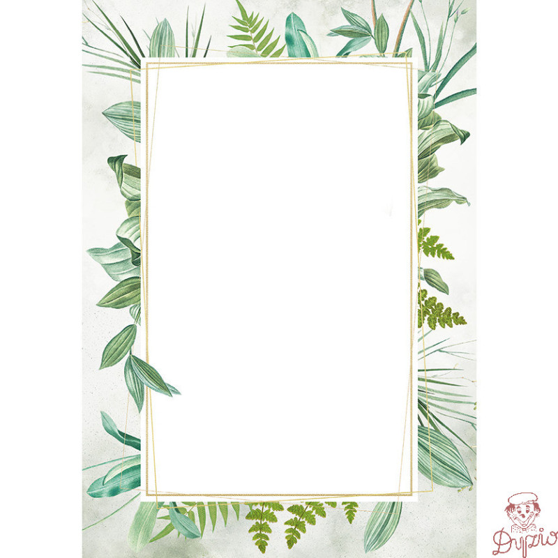 Dyplom A4 BOTANIC 170g (25ark) 219617 GALERIA PAPIERU