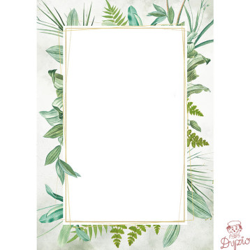 Dyplom A4 BOTANIC 170g (25ark) 219617 GALERIA PAPIERU