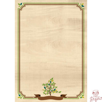 Dyplom A4 NATURA 170g (25ark.) 219117 Galeria Papieru