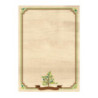 Dyplom A4 NATURA 170g (25ark.) 219117 Galeria Papieru