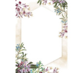 Dyplom A4 UMBRIA 170g. (25ark.) 217517 Galeria Papieru