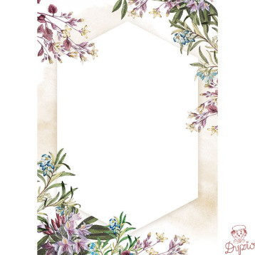 Dyplom A4 UMBRIA 170g. (25ark.) 217517 Galeria Papieru