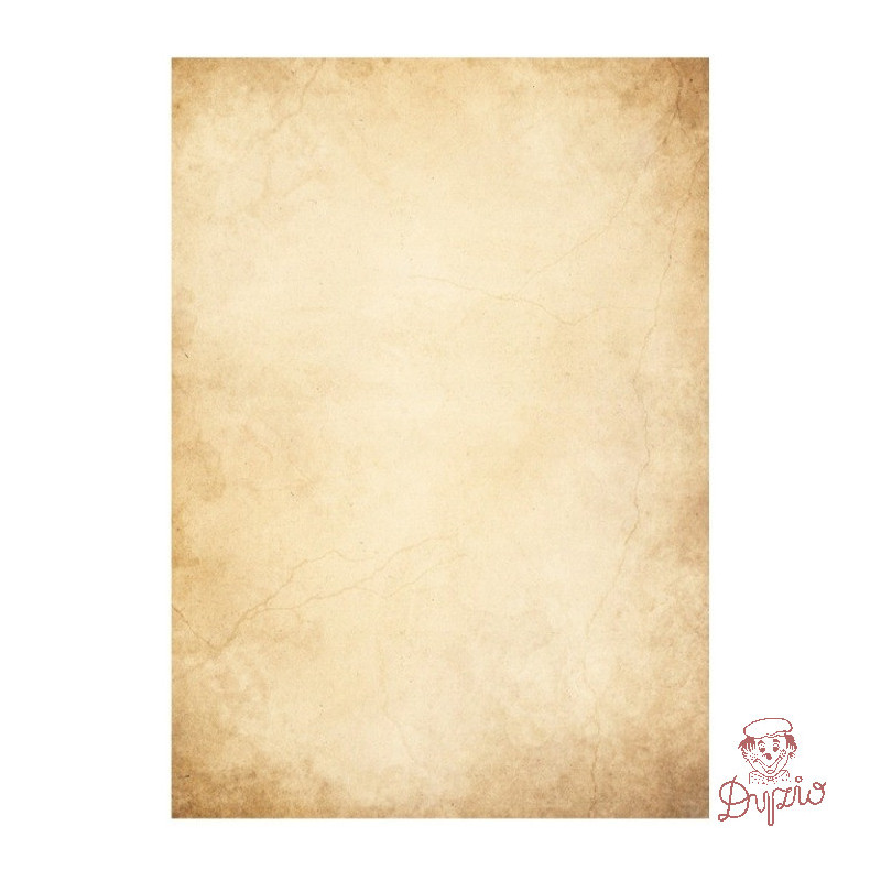 Barwne arkusze 100g/m2 FLORENCJA 234010 Galeria Papieru