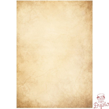 Barwne arkusze 100g/m2 FLORENCJA 234010 Galeria Papieru