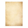 Barwne arkusze 100g/m2 FLORENCJA 234010 Galeria Papieru