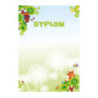 Dyplom A4 BAJKA 170g (25ark) 211217 GALERIA PAPIERU