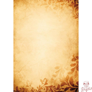 Dyplom A4 AMBER 170g (25ark) 215517 GALERIA PAPIERU
